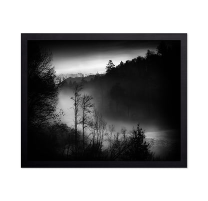 Foggy River Valley