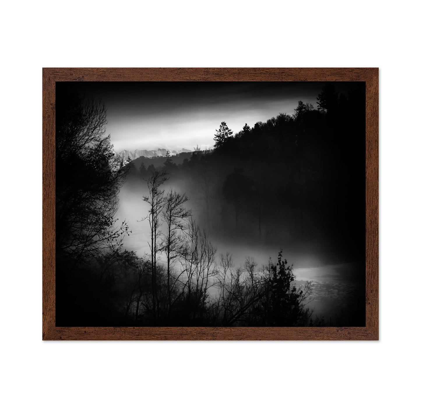 Foggy River Valley