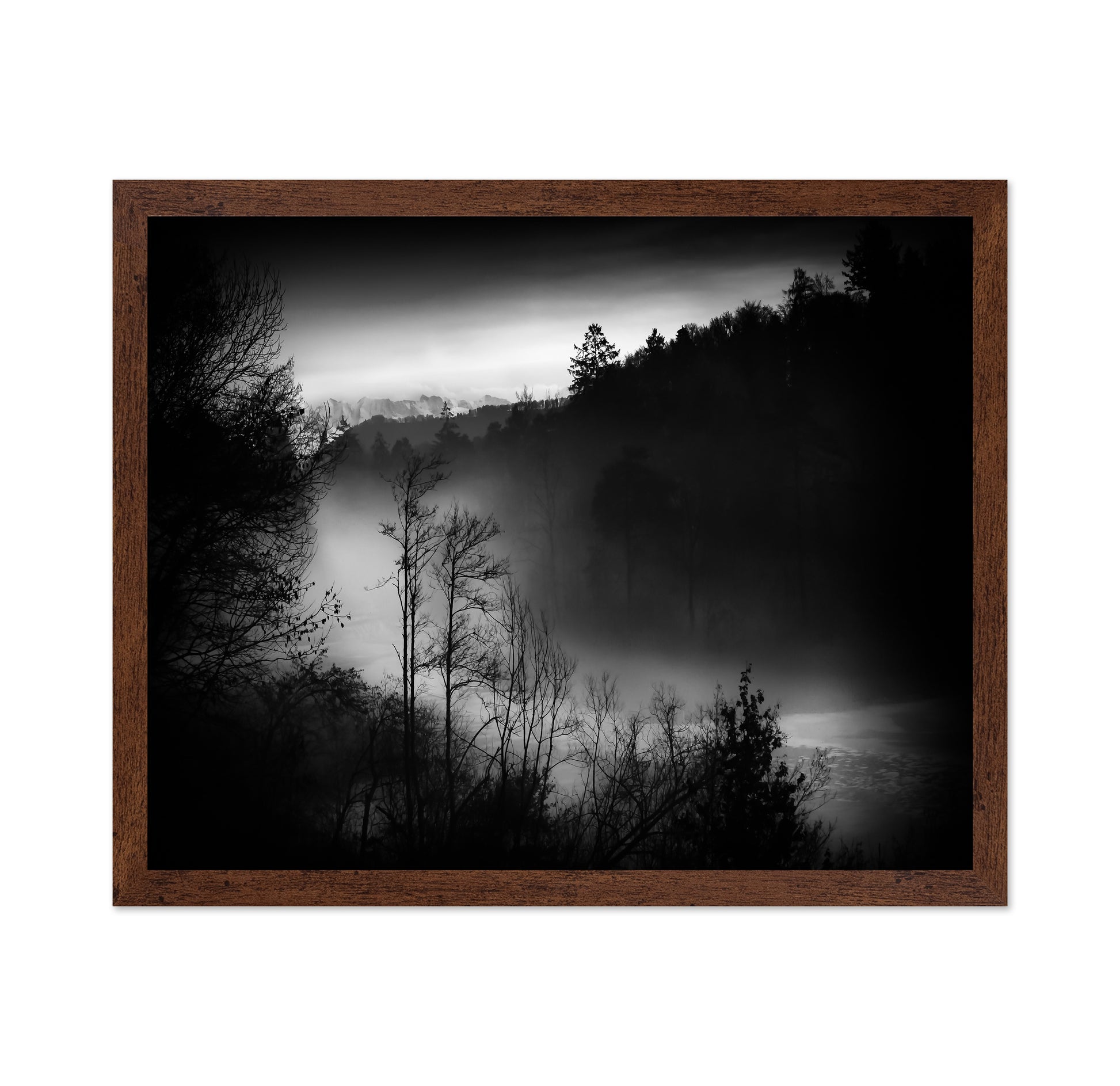 Foggy River Valley