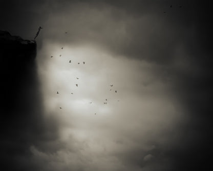 Birds in Dramatic Sky