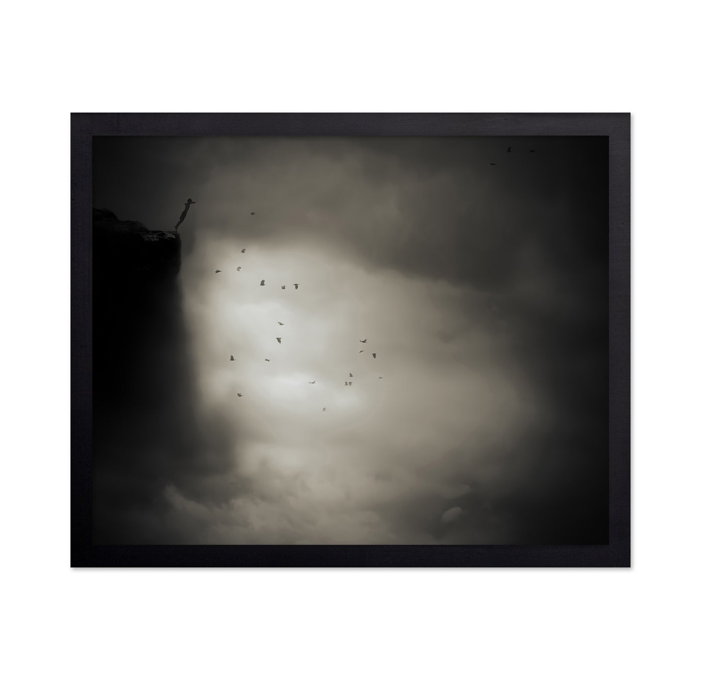 Birds in Dramatic Sky
