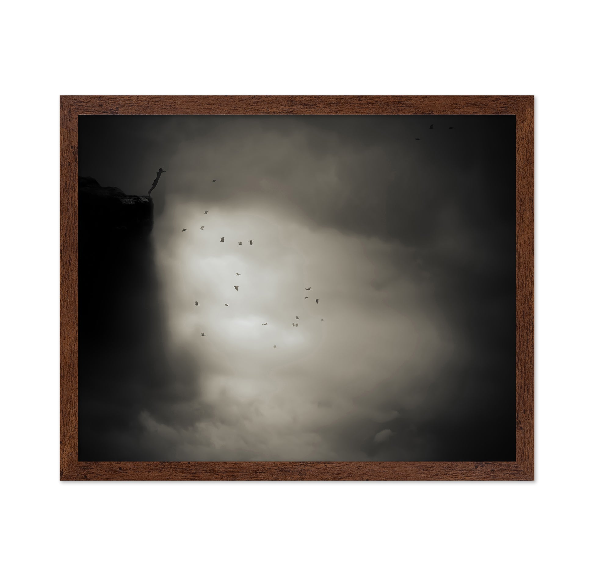 Birds in Dramatic Sky
