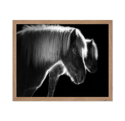 Majestic Twin Horses