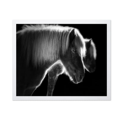Majestic Twin Horses
