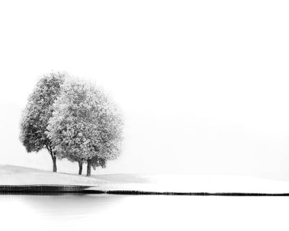 Minimal Twin Trees