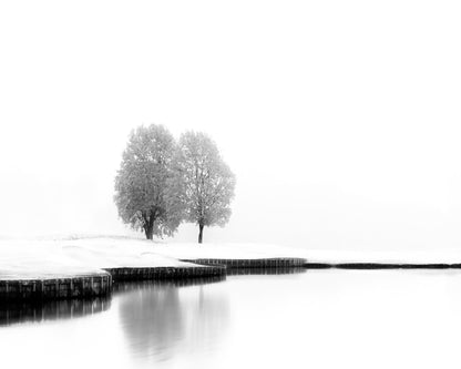 United in Stillness