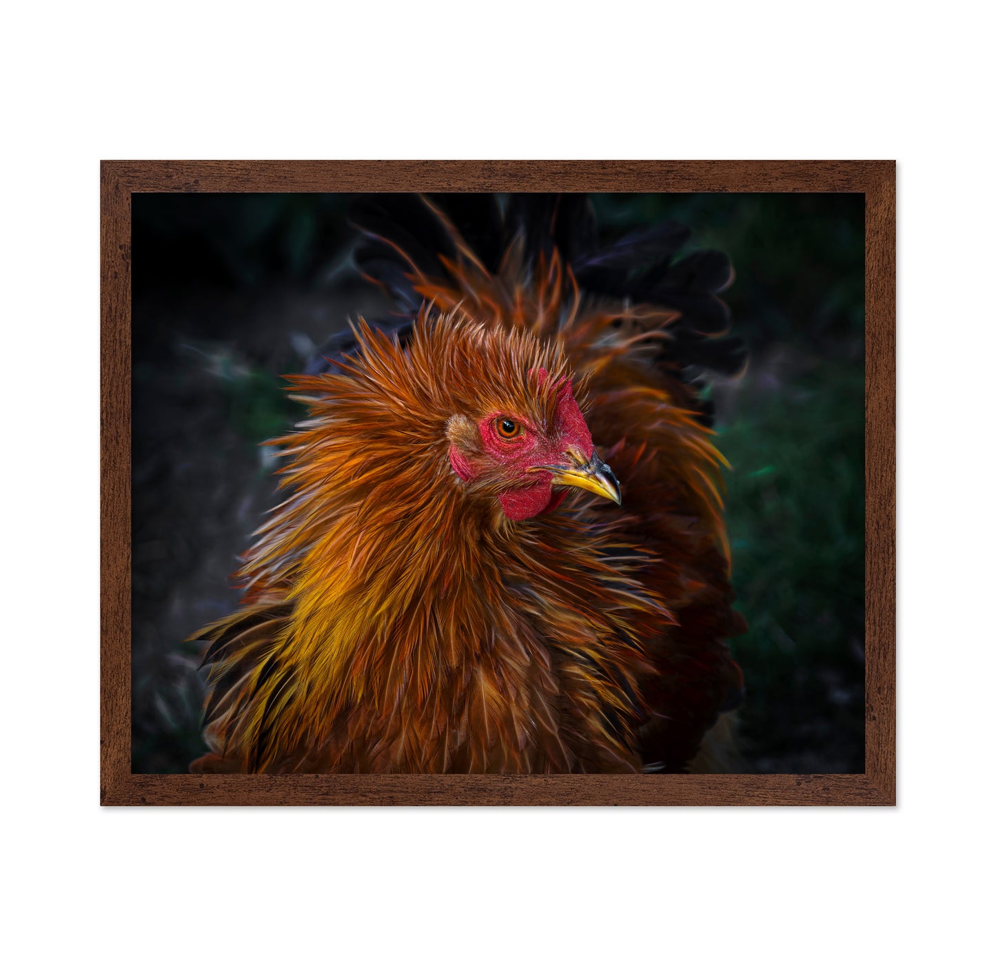 Punk Style Rooster