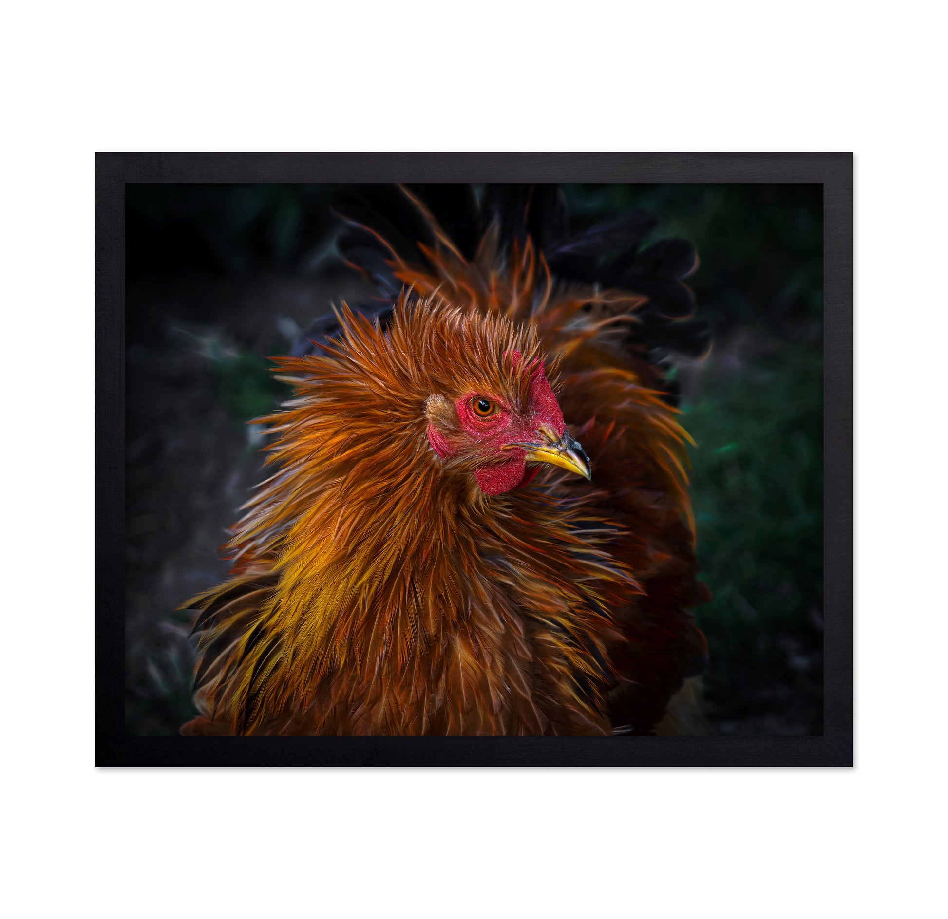 Punk Style Rooster