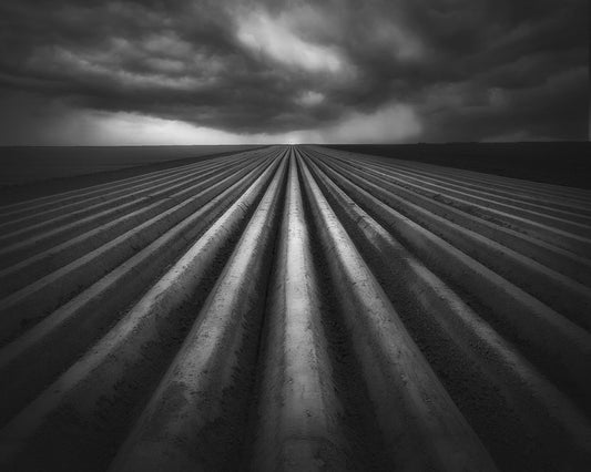 Storm Over Fields