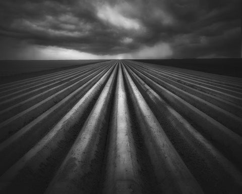 Storm Over Fields
