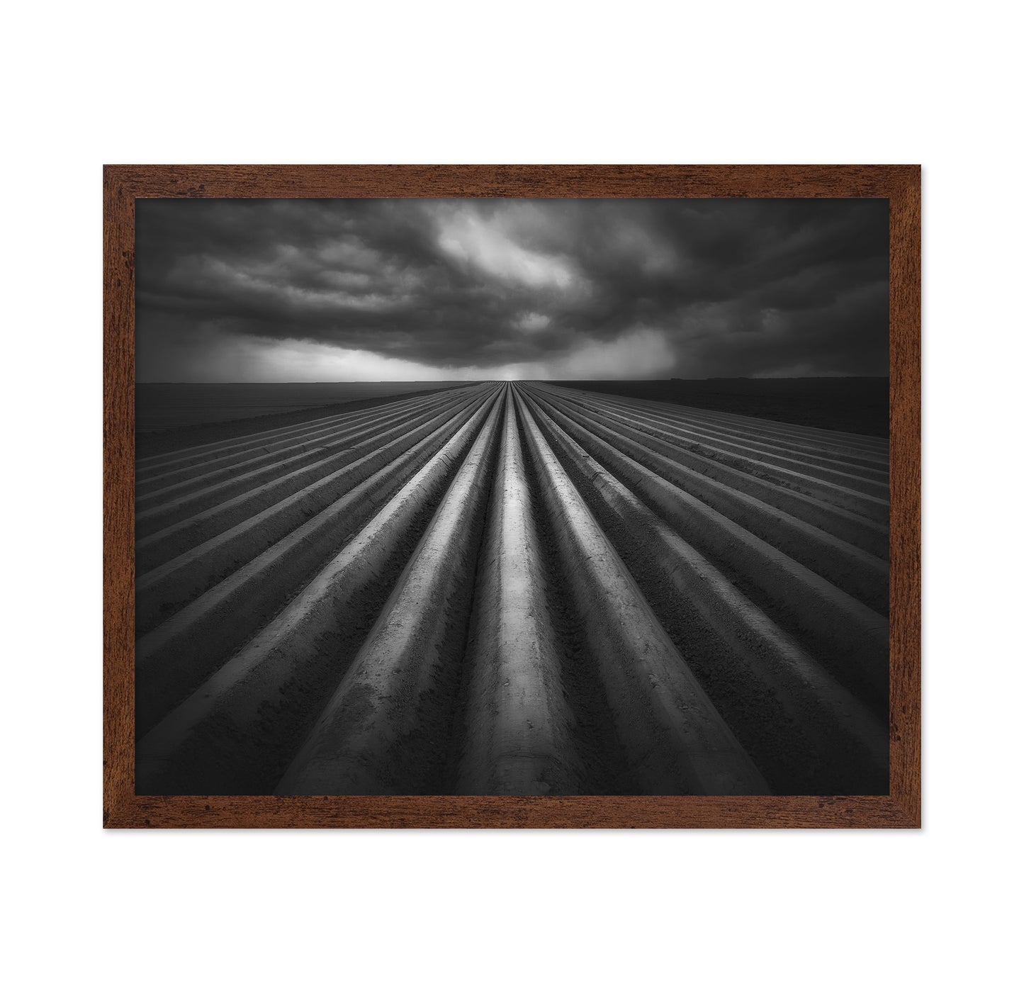 Storm Over Fields