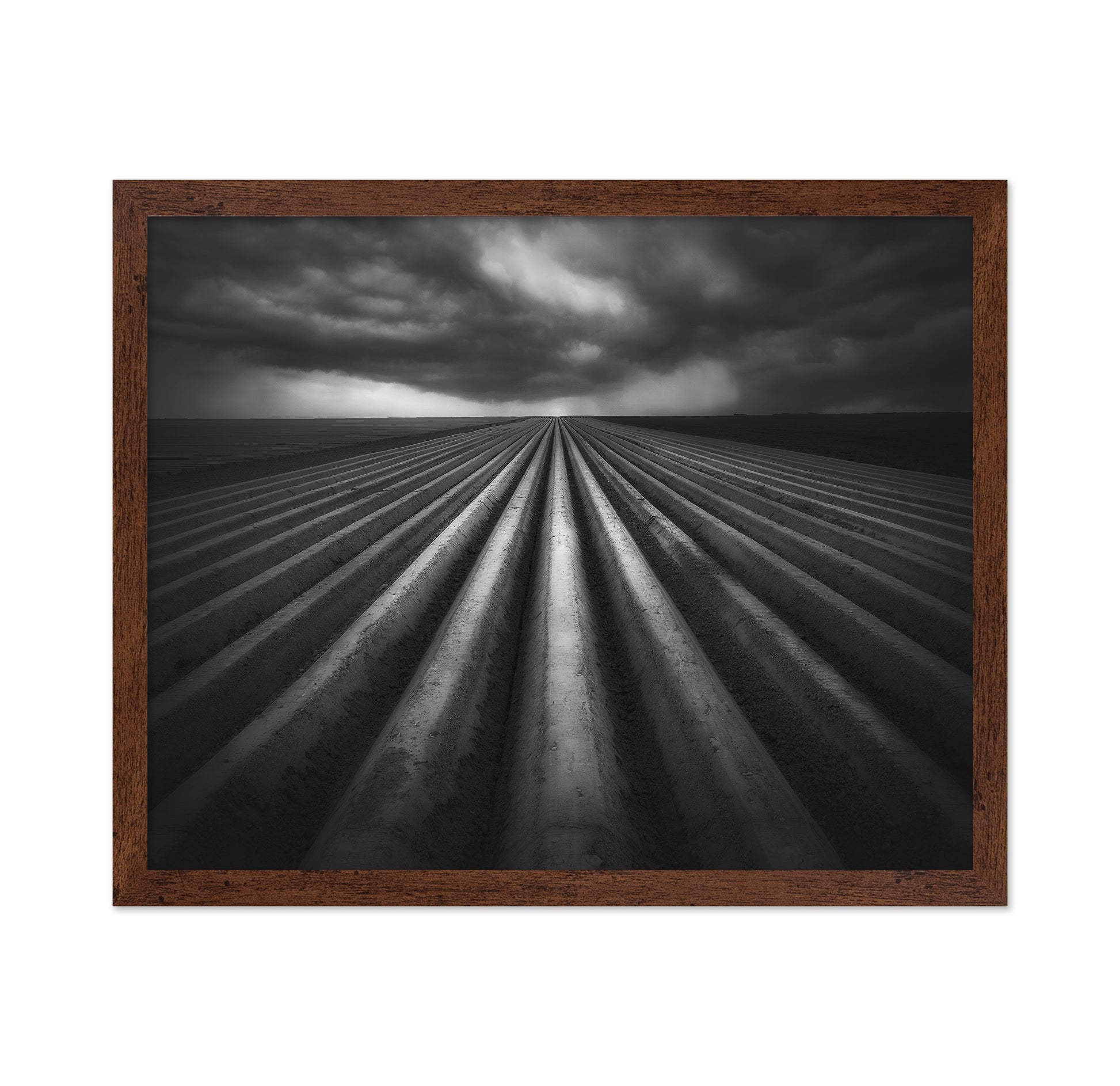 Storm Over Fields