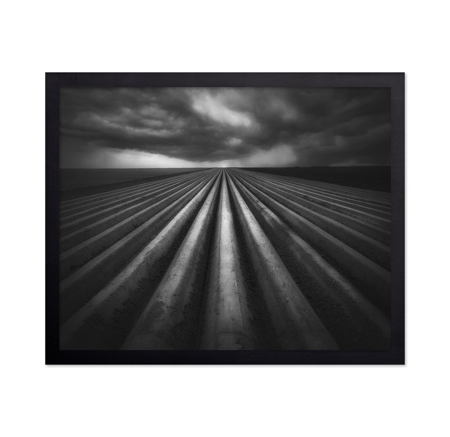 Storm Over Fields