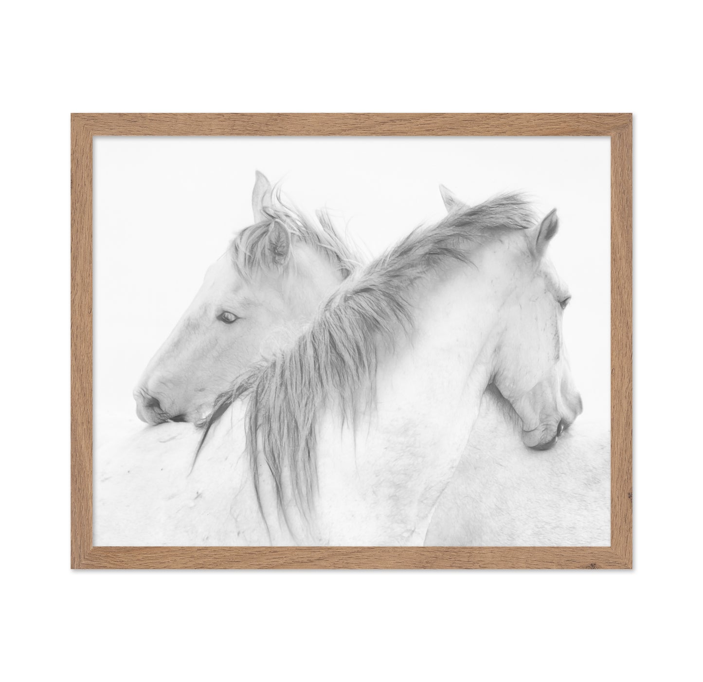 Gentle White Horses