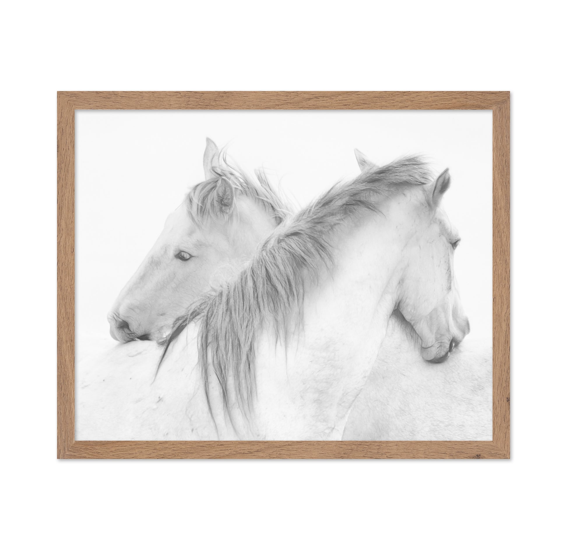 Gentle White Horses