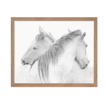Gentle White Horses