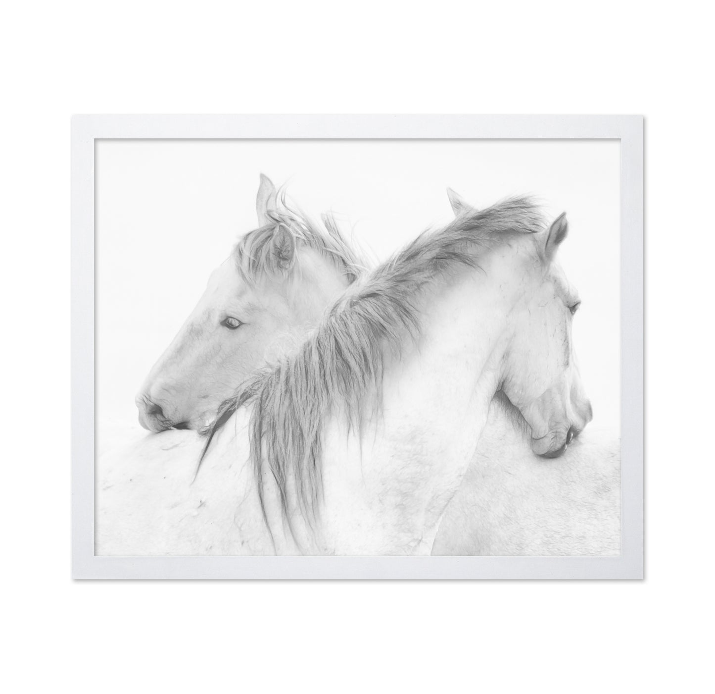 Gentle White Horses