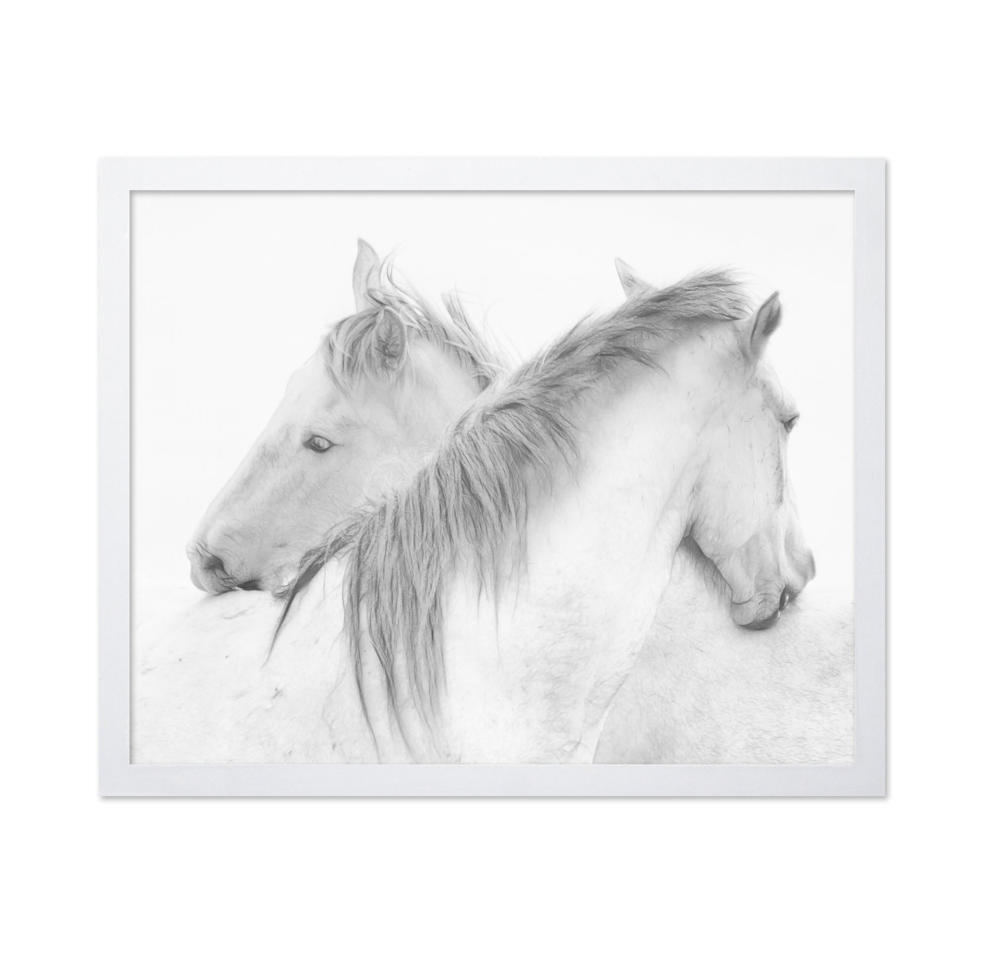 Gentle White Horses