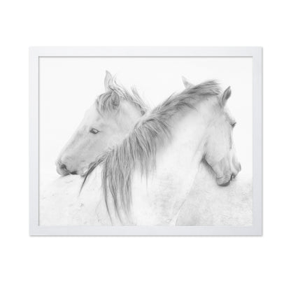 Gentle White Horses
