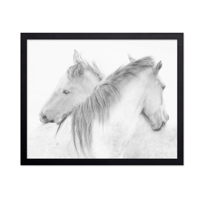 Gentle White Horses