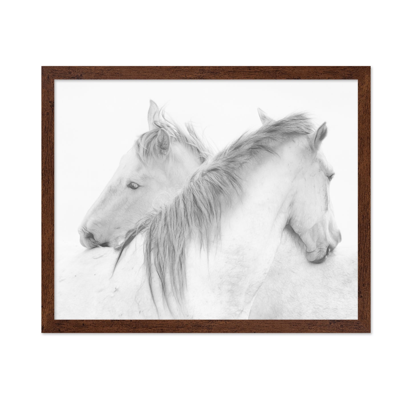 Gentle White Horses