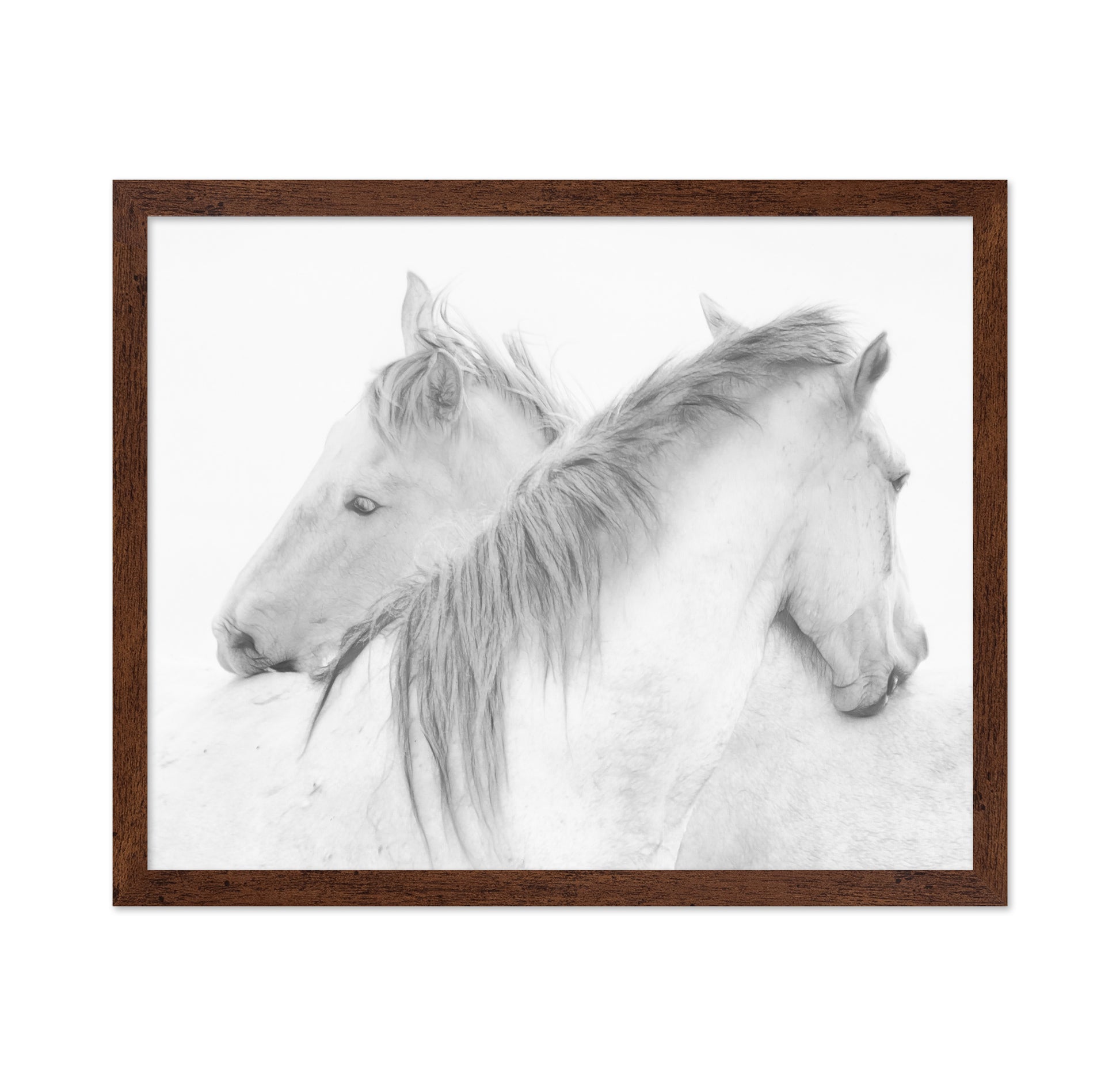 Gentle White Horses