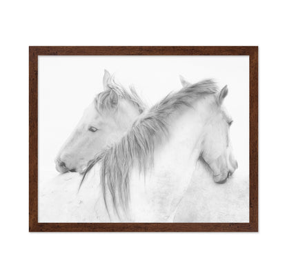 Gentle White Horses