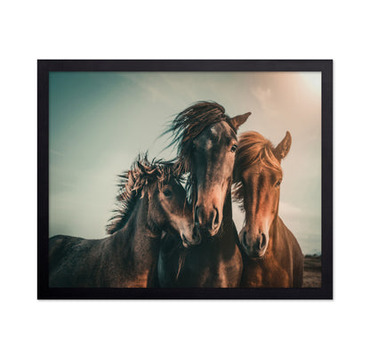 Wild Horse Trio