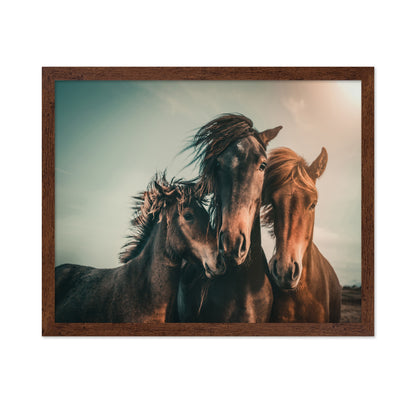 Wild Horse Trio