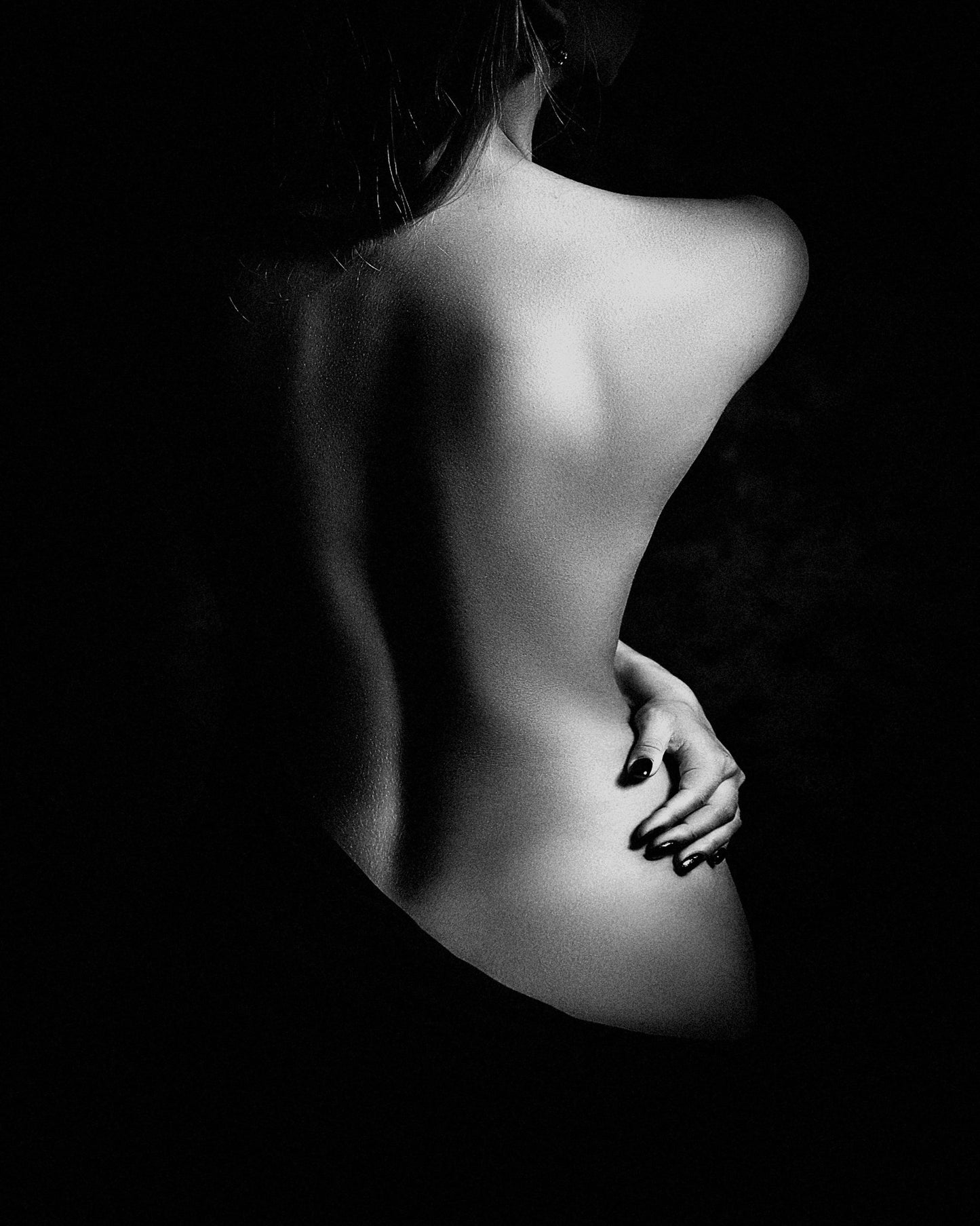 Elegant Shadow Form