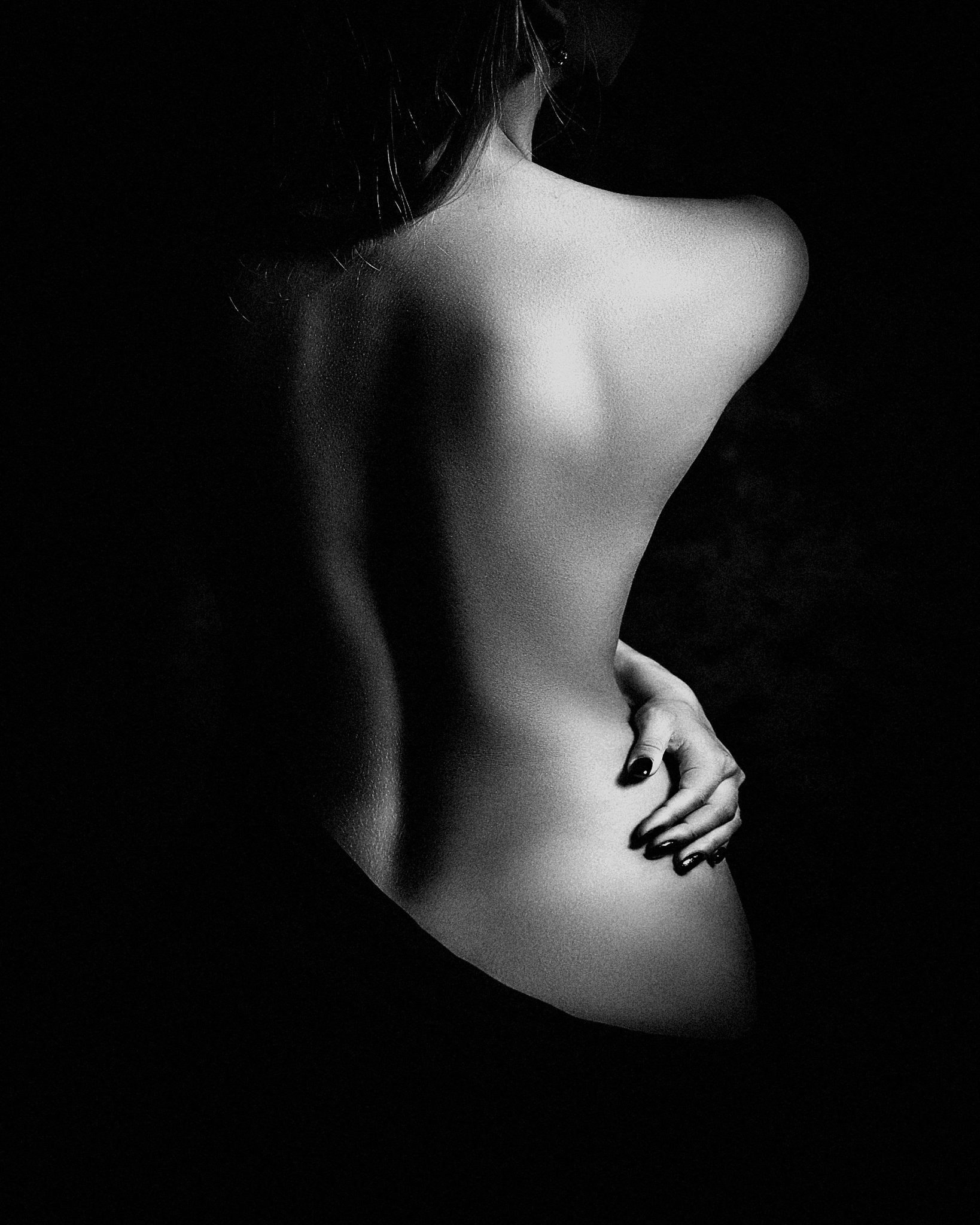 Elegant Shadow Form