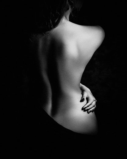 Elegant Shadow Form