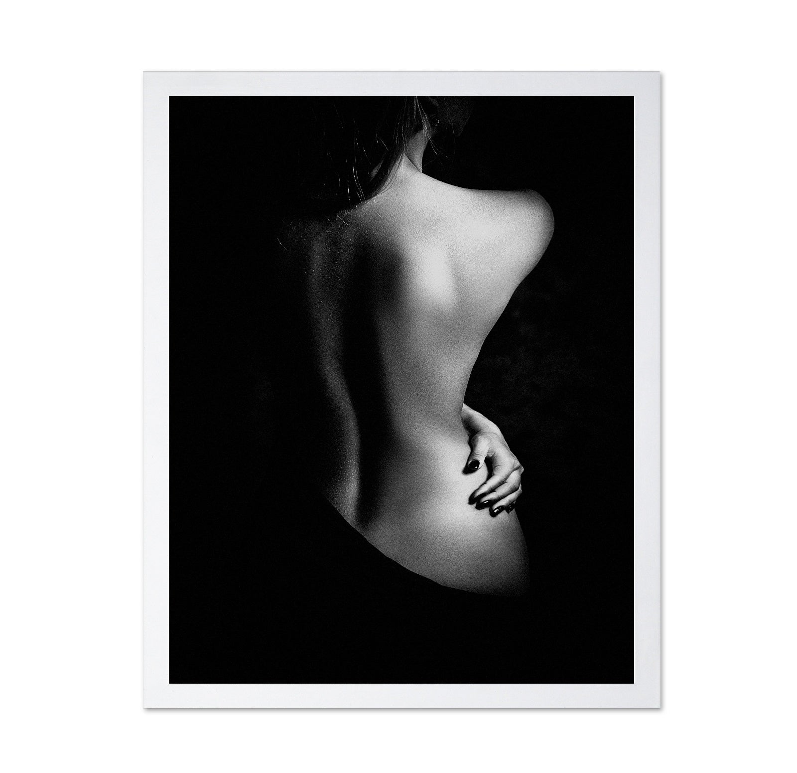 Elegant Shadow Form