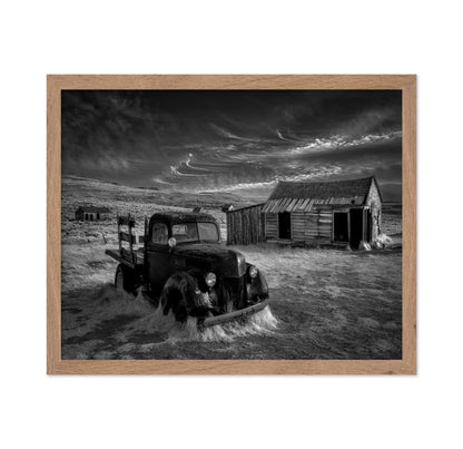 Abandoned Truck Ranch