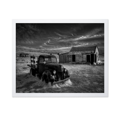 Abandoned Truck Ranch