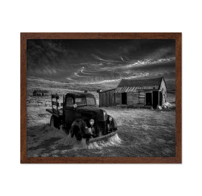 Abandoned Truck Ranch