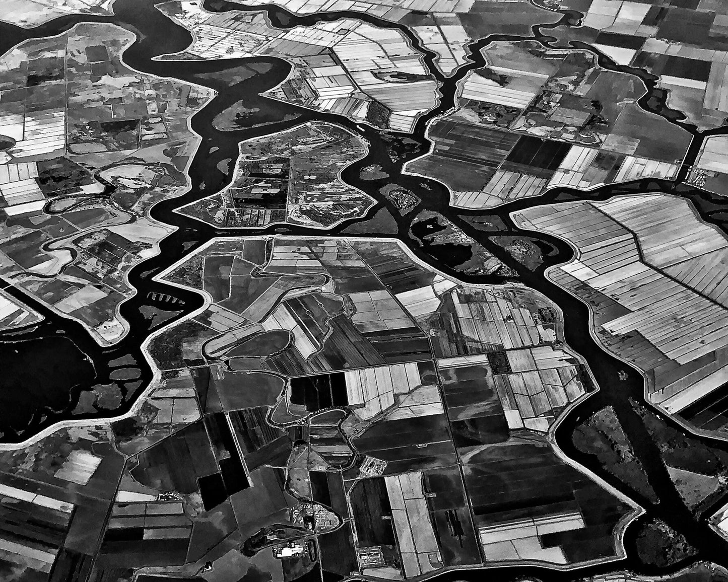River Delta Patterns