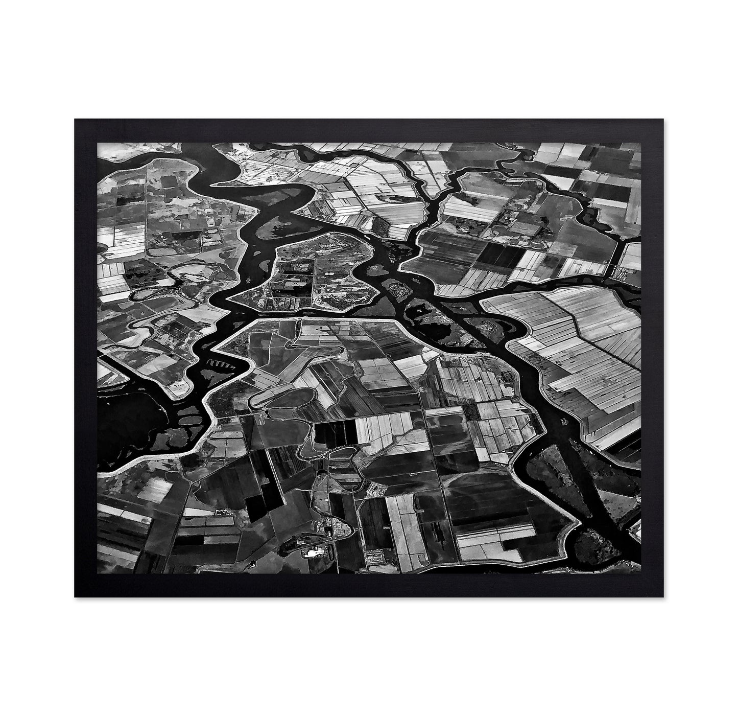River Delta Patterns