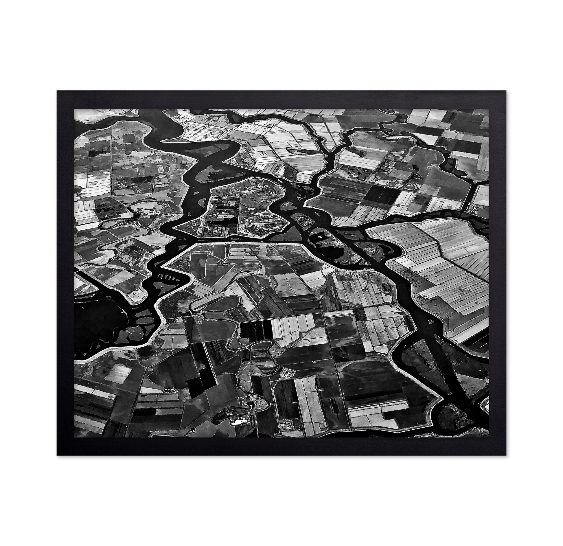 River Delta Patterns