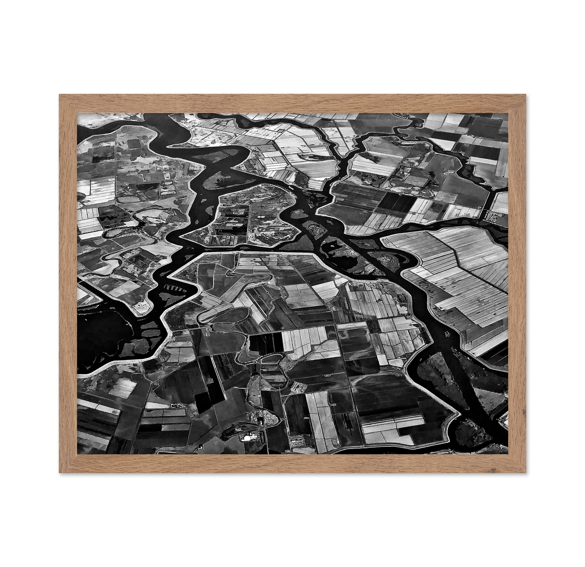 River Delta Patterns