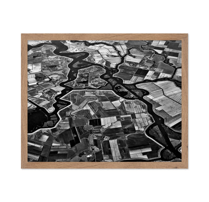 River Delta Patterns