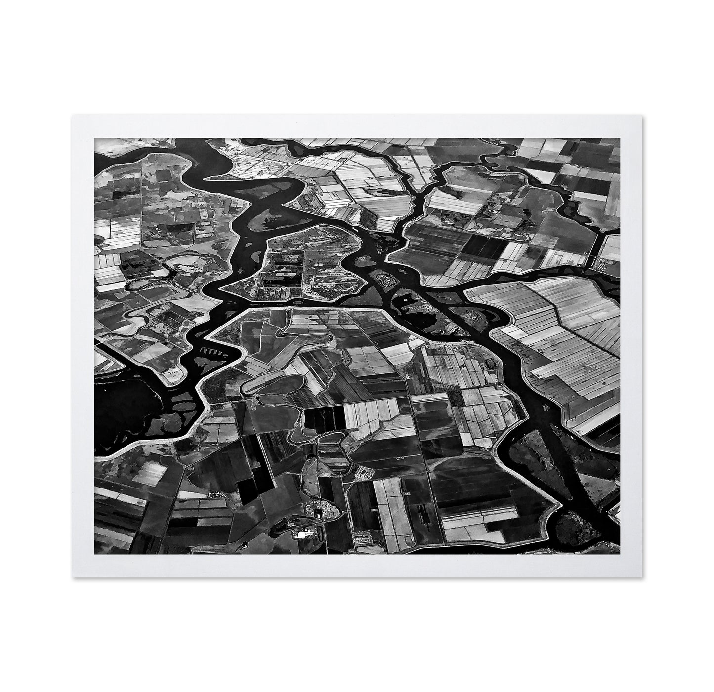 River Delta Patterns
