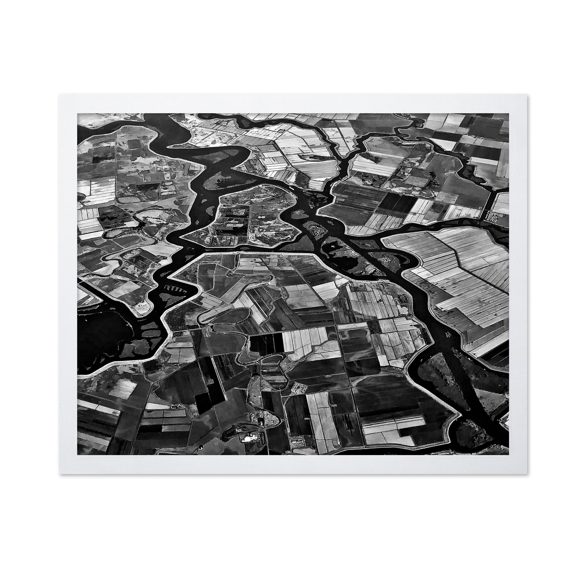 River Delta Patterns