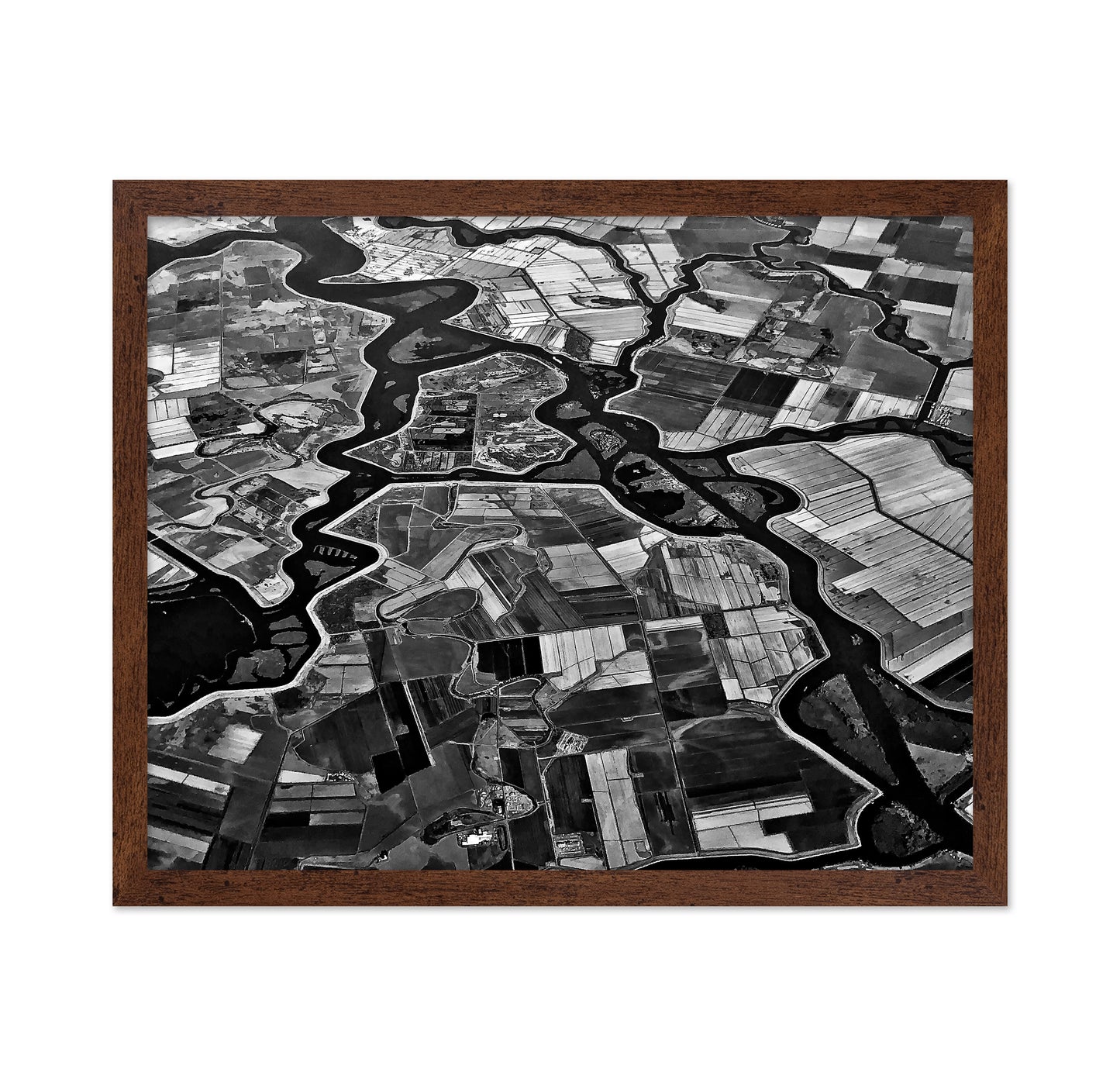 River Delta Patterns