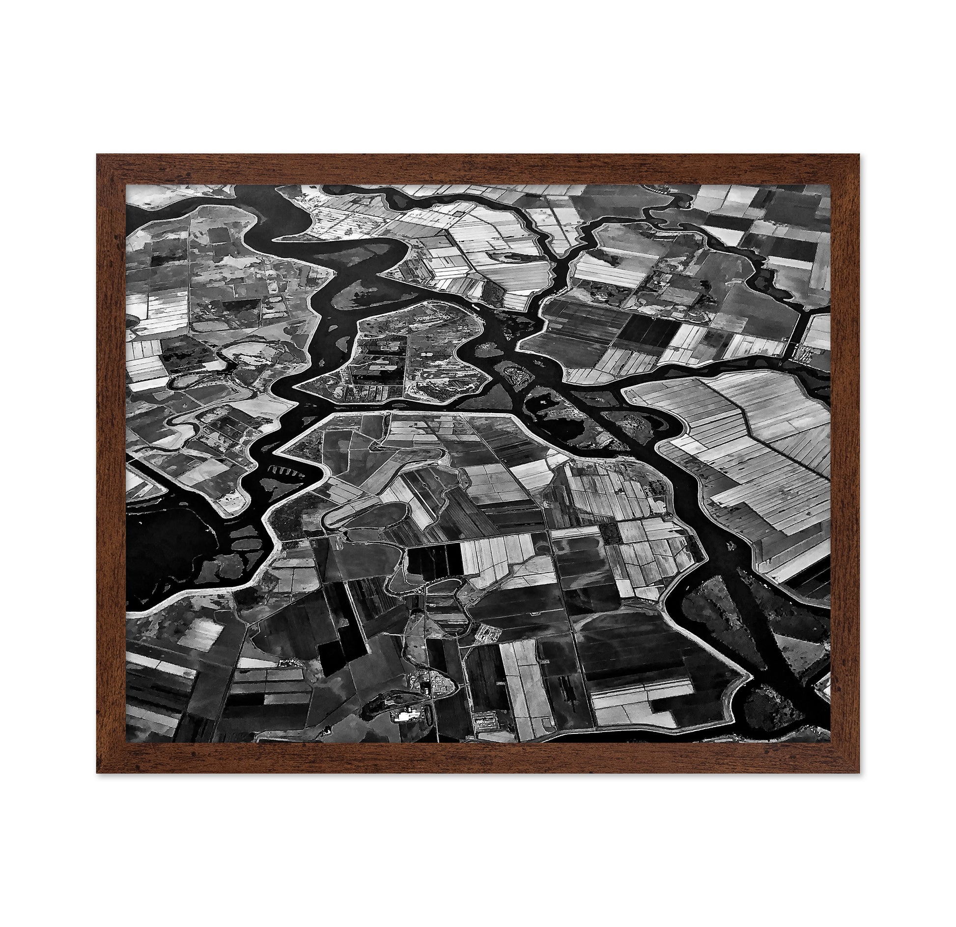 River Delta Patterns