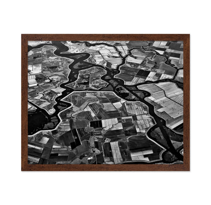 River Delta Patterns