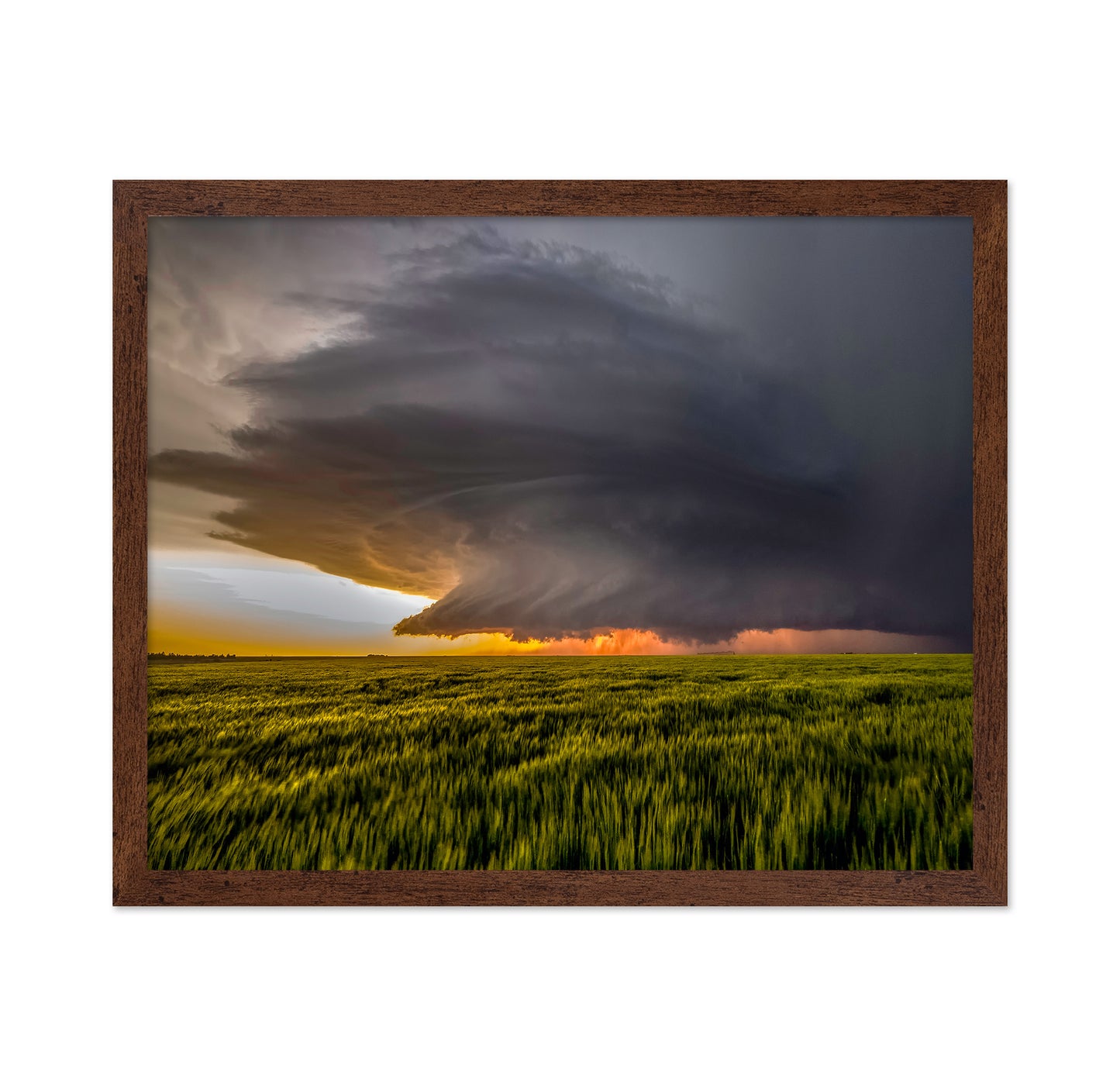 Sunset Storm Fields