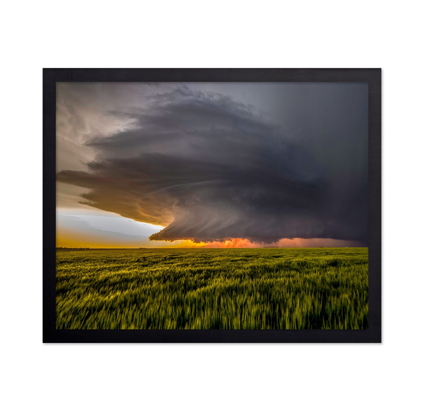 Sunset Storm Fields