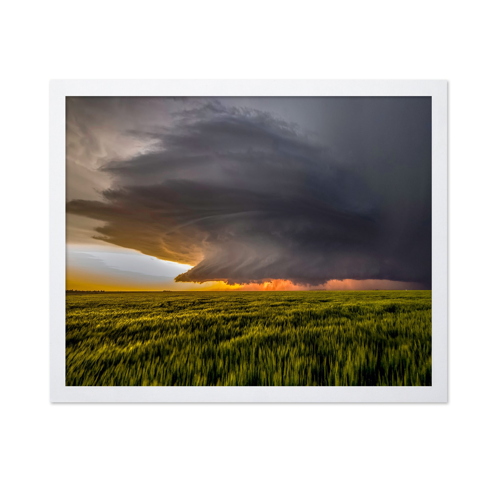 Sunset Storm Fields