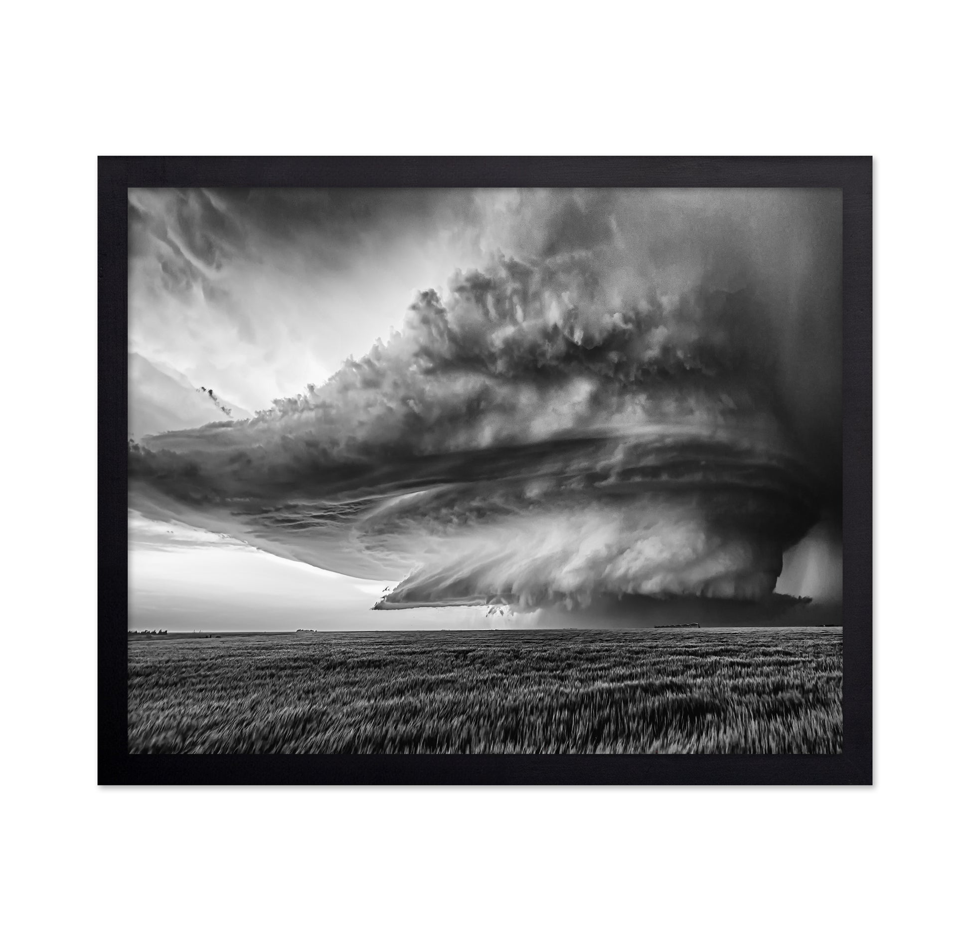 Twisted Storm Front